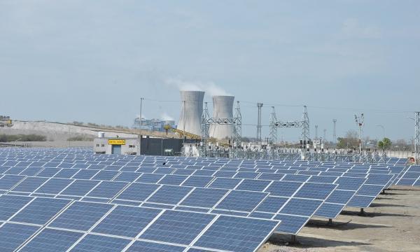 Petrom va construi, în parteneriat cu CE Oltenia, patru parcuri fotovoltaice de 450 MW