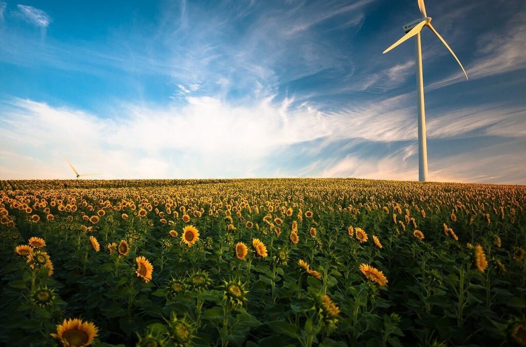 EDPR demarează acţiunile în justiţie împotriva taxelor pe energie impuse de România şi Polonia