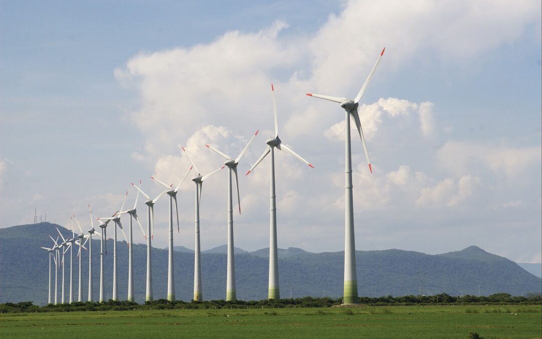 Germania a fost exportator net de energie electrică în 2022, în ciuda crizei energetice