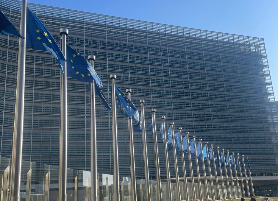 Comisia Europeană a decis să includă parțial energia nucleară în Actul privind industria net-zero propus, făcând referire la reactoarele modulare mici (SMR) și reactoarele avansate