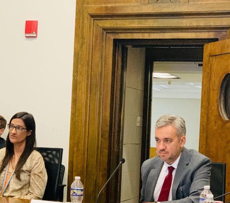 Președintele ANRE, la Washington: România își propune să fie prima țară din regiune care va reglementa offshore wind | InvesTenergy