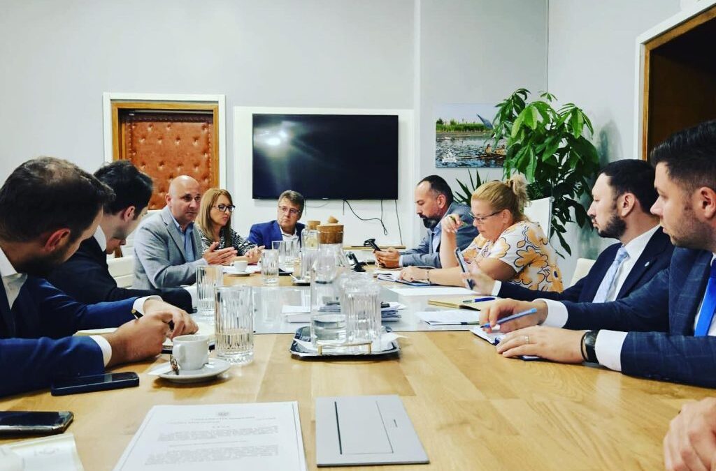 Grup de lucru pentru investiţiile în domeniul energetic  | InvesTenergy