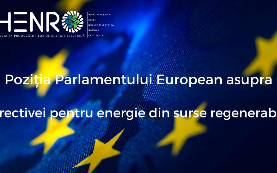 Poziția Parlamentului European asupra Directivei pentru energie din surse regenerabile