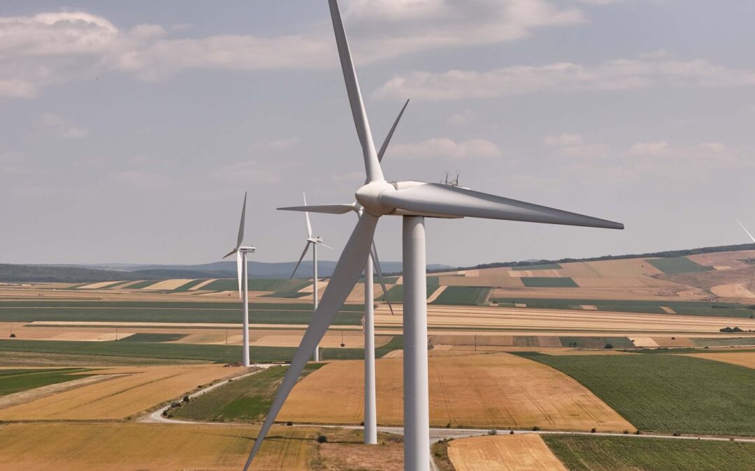 PPC Renewables România pune sistem de stocare a energiei în baterii la parcul eolian Topolog | InvesTenergy