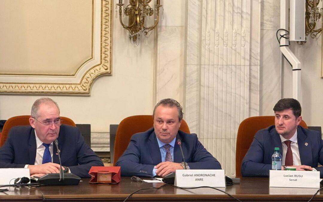 Stocarea energiei devine tot mai atractivă. Vicepreședintele ANRE Gabriel Andronache: Costurile au scăzut cu circa 20% în ultimii 13 ani | InvesTenergy