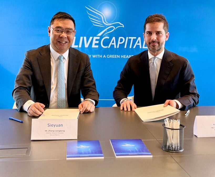 Alive Capital și Sieyuan Electric vor colabora pentru proiecte de stocare de până la 2,5 GWh  | InvesTenergy