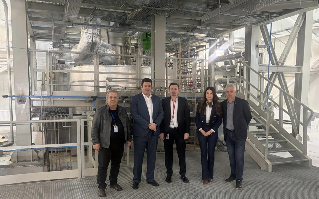 Nuclearelectrica: România este membru cu drepturi depline al Alianței Industriale Europene pentru reactoare modulare mici (SMR), alături de alte 7 proiecte selectate, unul dintre acestea fiind și proiectul ALFRED de la Pitești