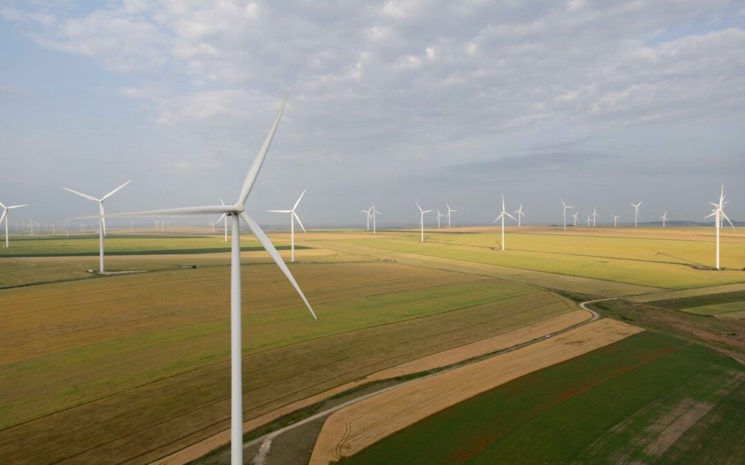 PPC Renewables România dezvoltă un sistem de stocare a energiei în baterii în parcul eolian Târgușor, de 60 MW/120 MWh | InvesTenergy