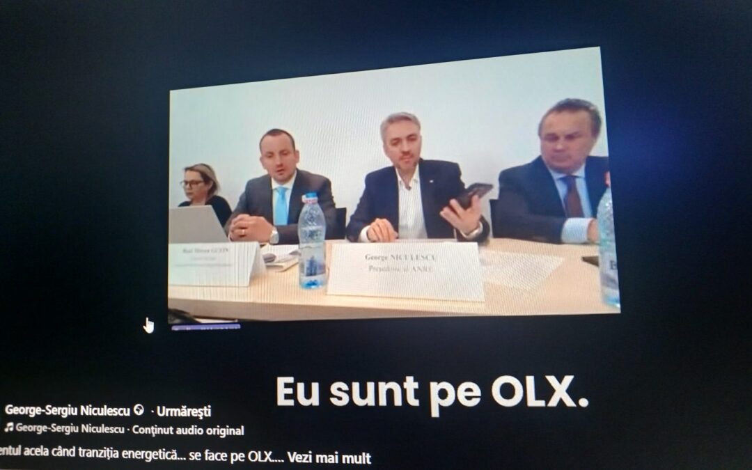 VIDEO George Niculescu, președintele ANRE, despre vânzarea proiectelor regenerabile pe OLX: „Comportament oportunist…nu așa vom dezvolta producția de energie la modul serios în România” | InvesTenergy