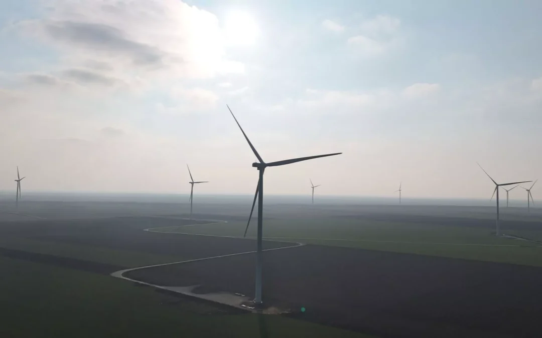 Eurowind Energy România inaugurează Parcul Eolian Pecineaga: o investiție de 90 de milioane de euro și 48 MW de energie verde pentru România