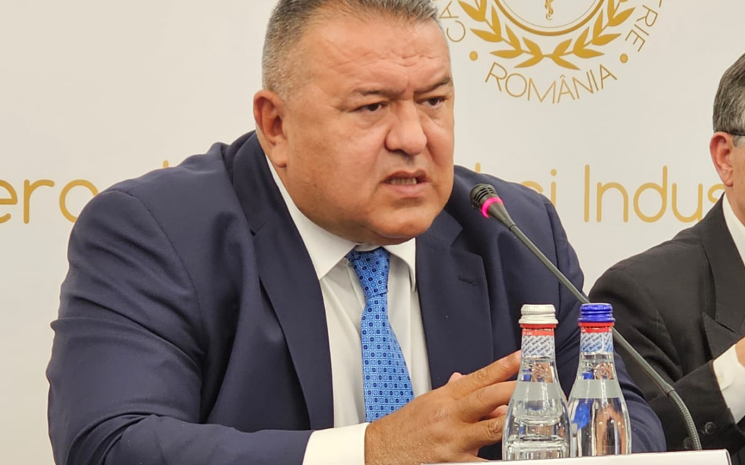 Daraban (CCIR): Stocarea energiei, un domeniu în care România este interesată activ să colaboreze cu partenerii chinezi