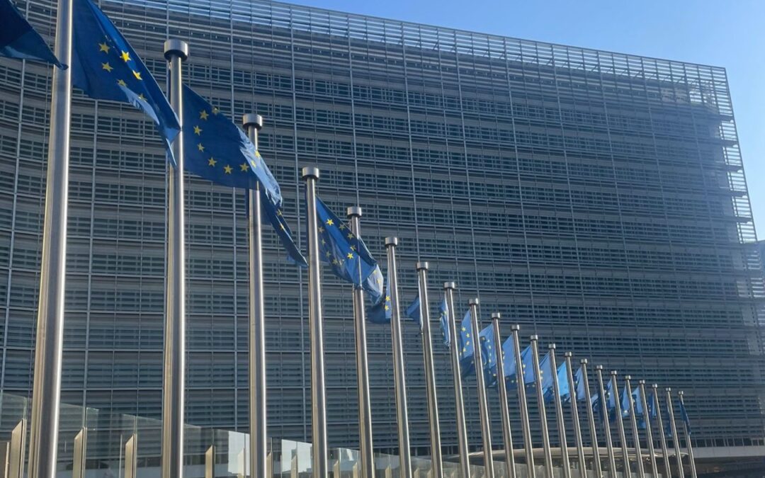 Țări din CE, inclusiv România, cer UE consolidarea fondului care ajută tranziţia la energia verde (Reuters)