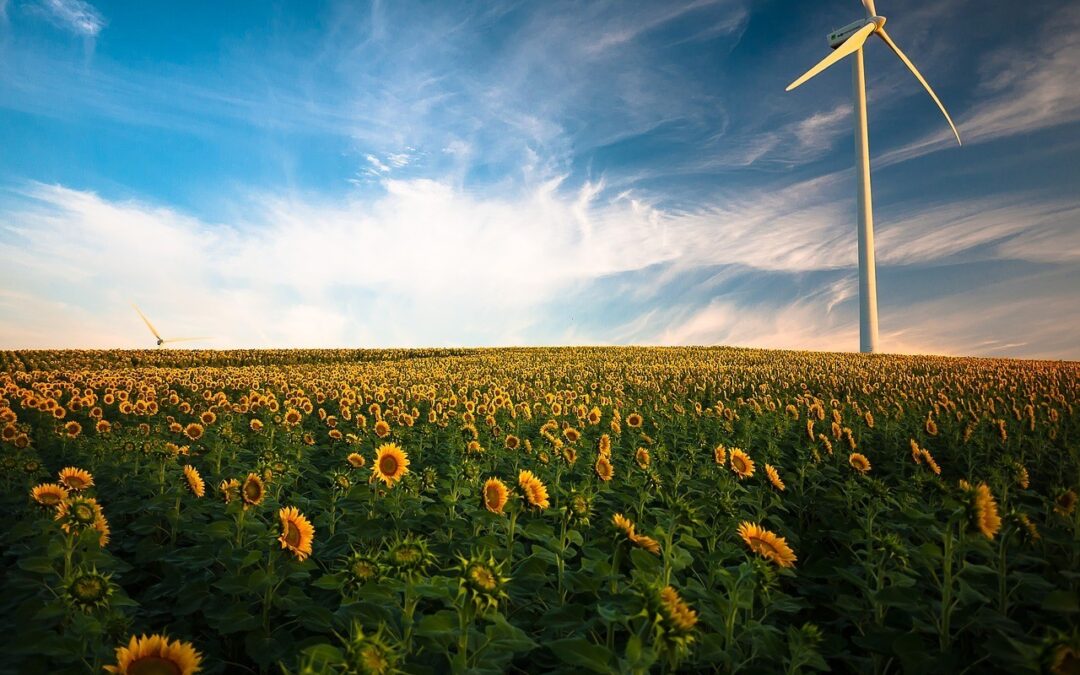 Eurostat: Energia regenerabilă a fost şi în 2025 principala sursă de electricitate în Uniunea Europeană