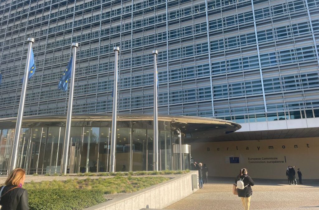 Revizuirea Directivei EU ETS: implicații pentru finanțarea decarbonizării industriale și competitivitatea României (EPG)
