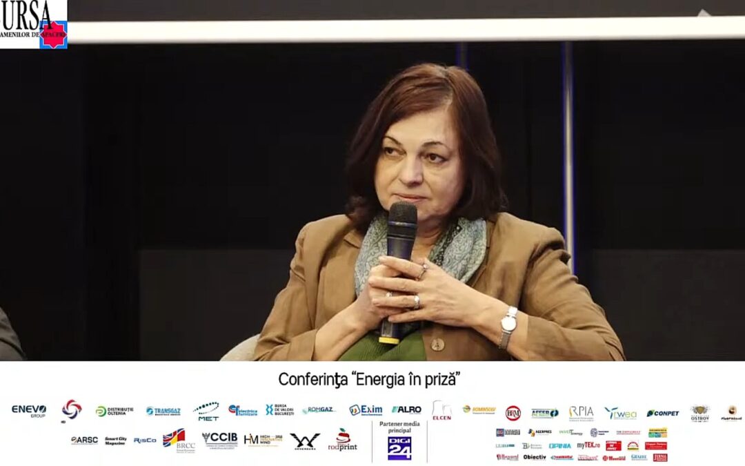 Silvia Vlăsceanu, HENRO, la „Energia în priză”: Investiții integrate pentru sistemul energetic